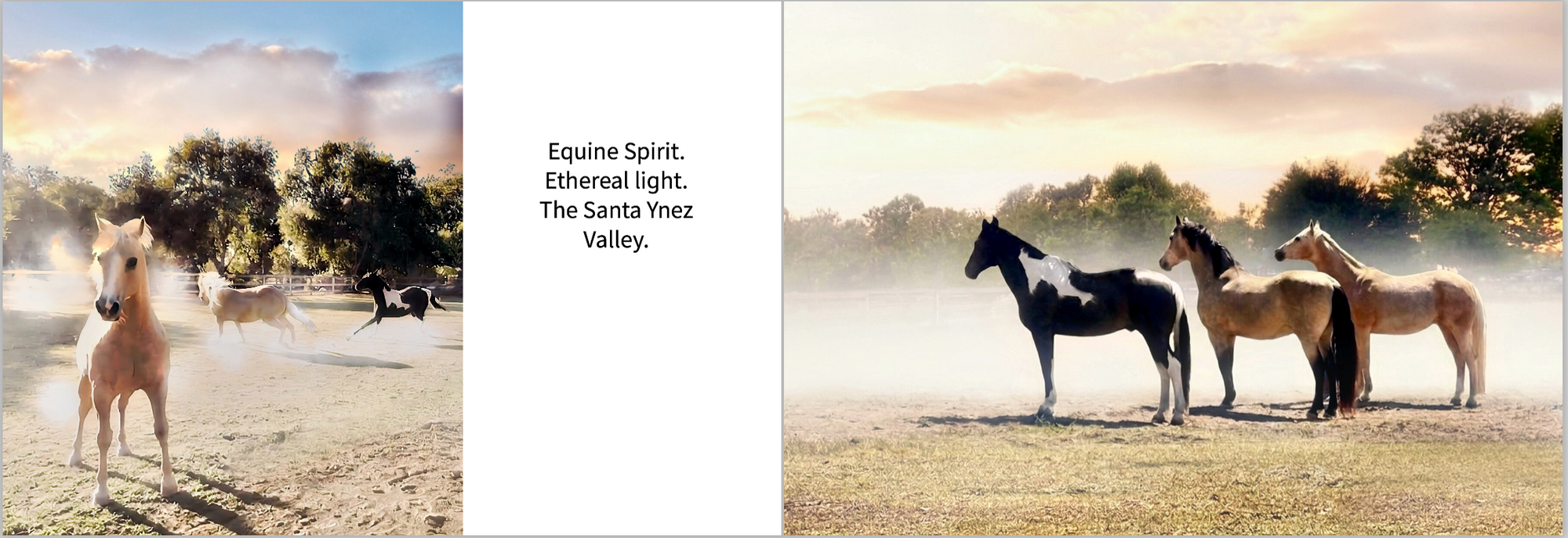 Santa Ynez Valley Life:  Fine Art Lookbook
