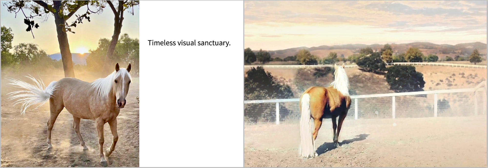 Santa Ynez Valley Life:  Fine Art Lookbook