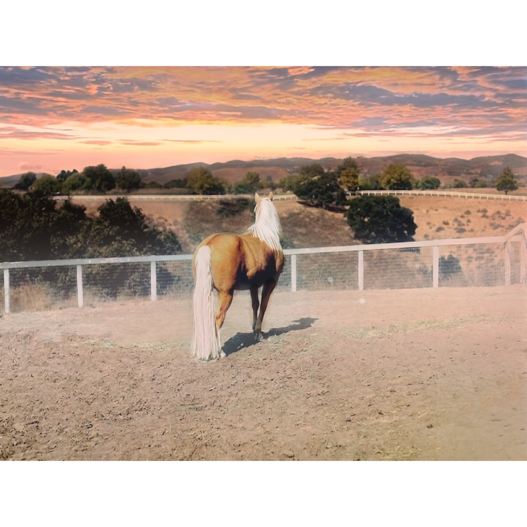 Alejandro—Horizon