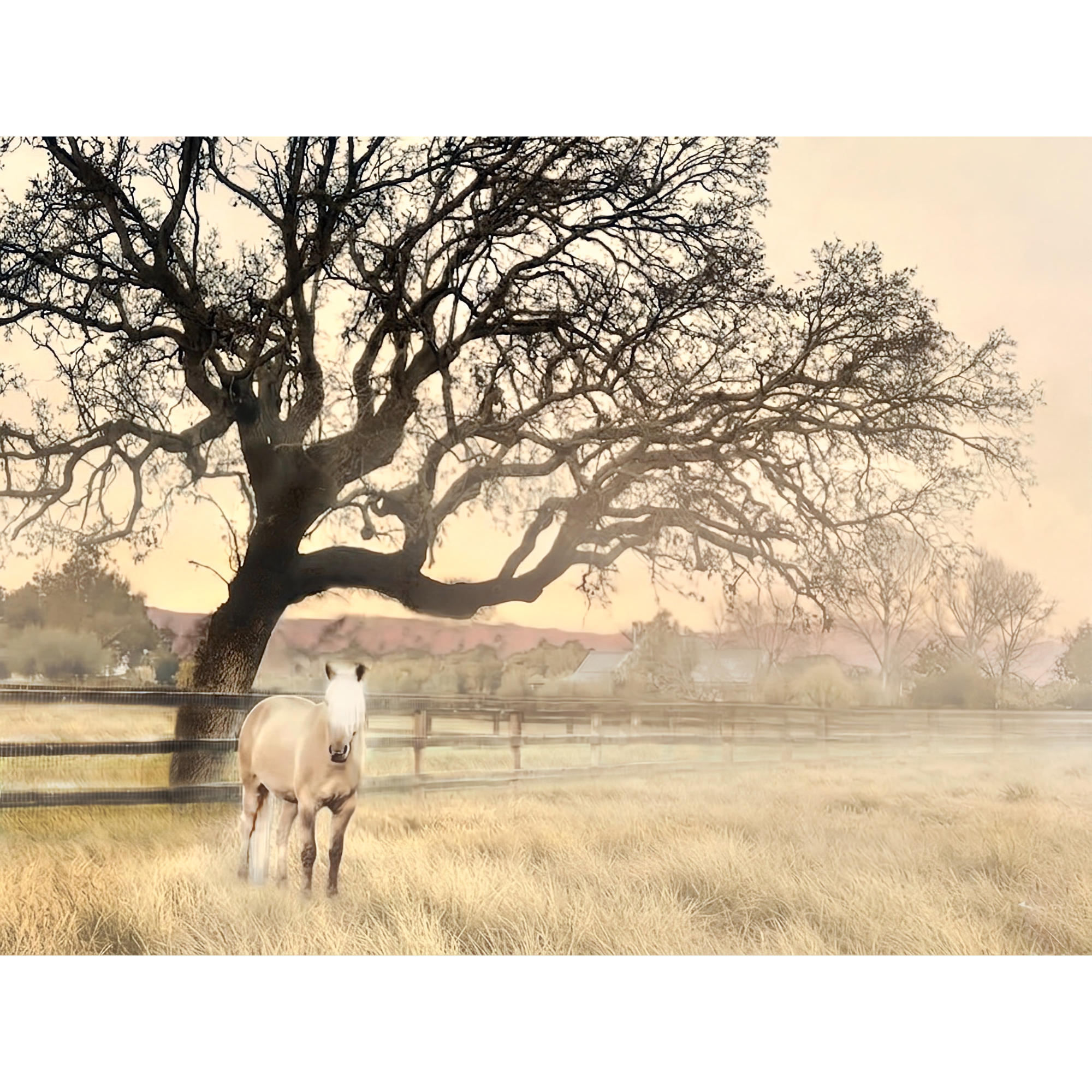 Boss—Winter Oak