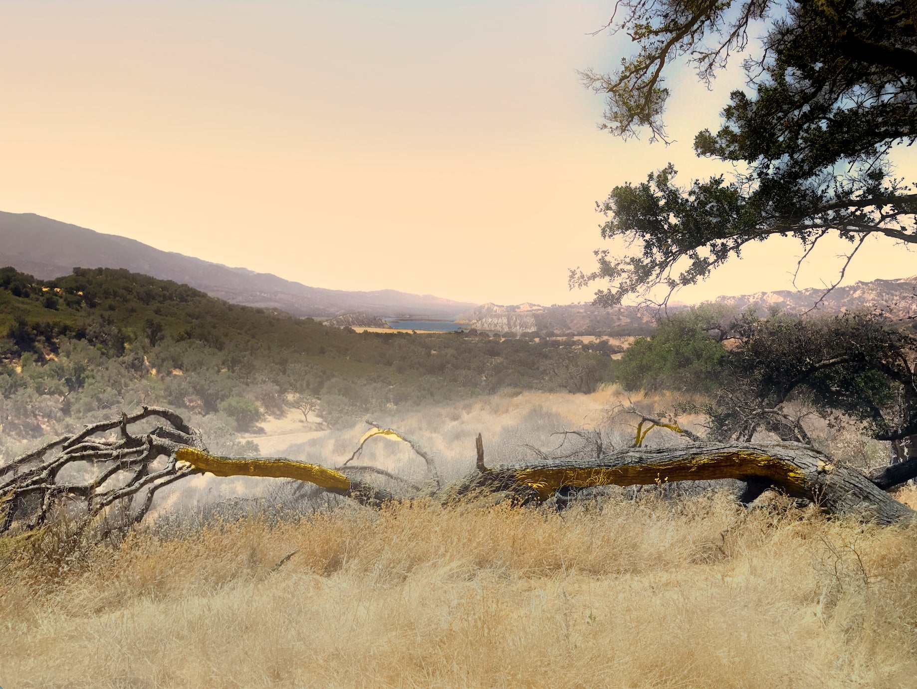 Ranch Dispatch—A Monthly Fine Art &amp; Literary Mailer
