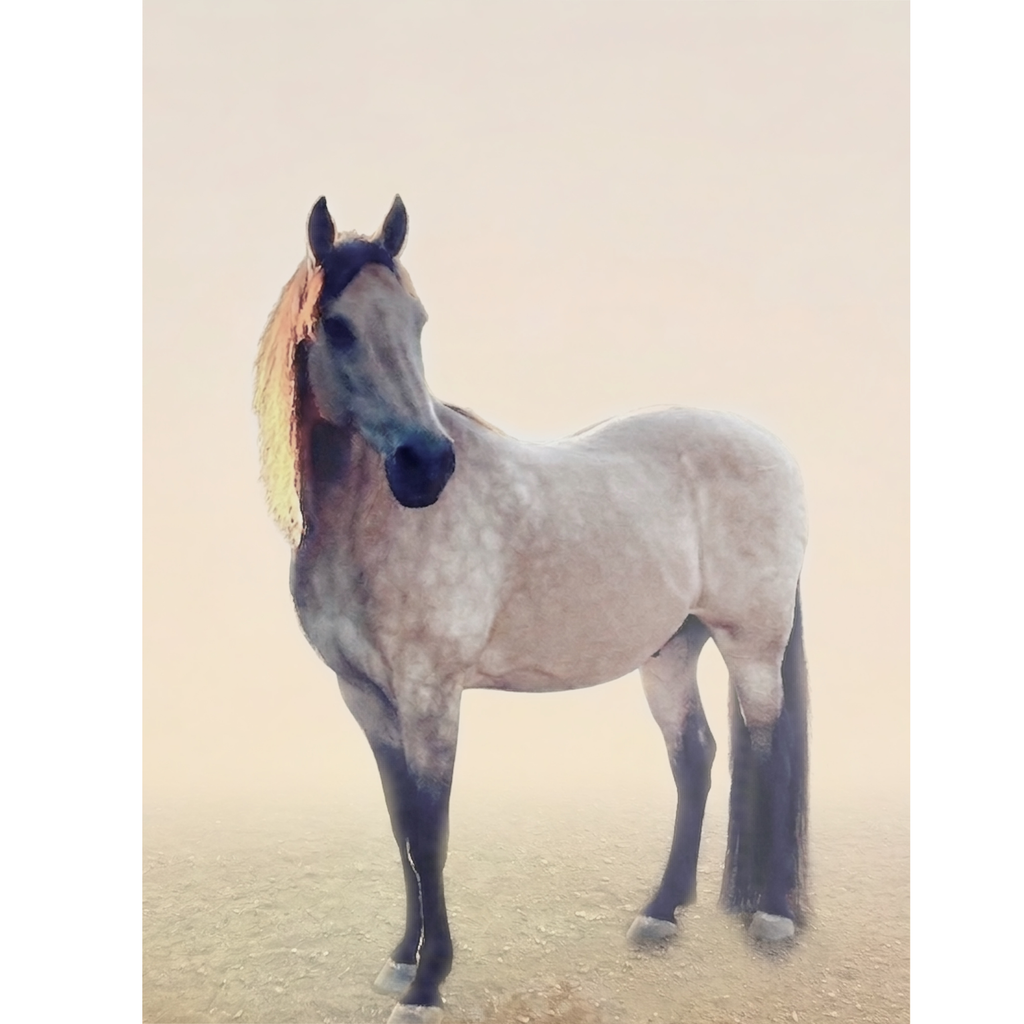 Beau—Ember