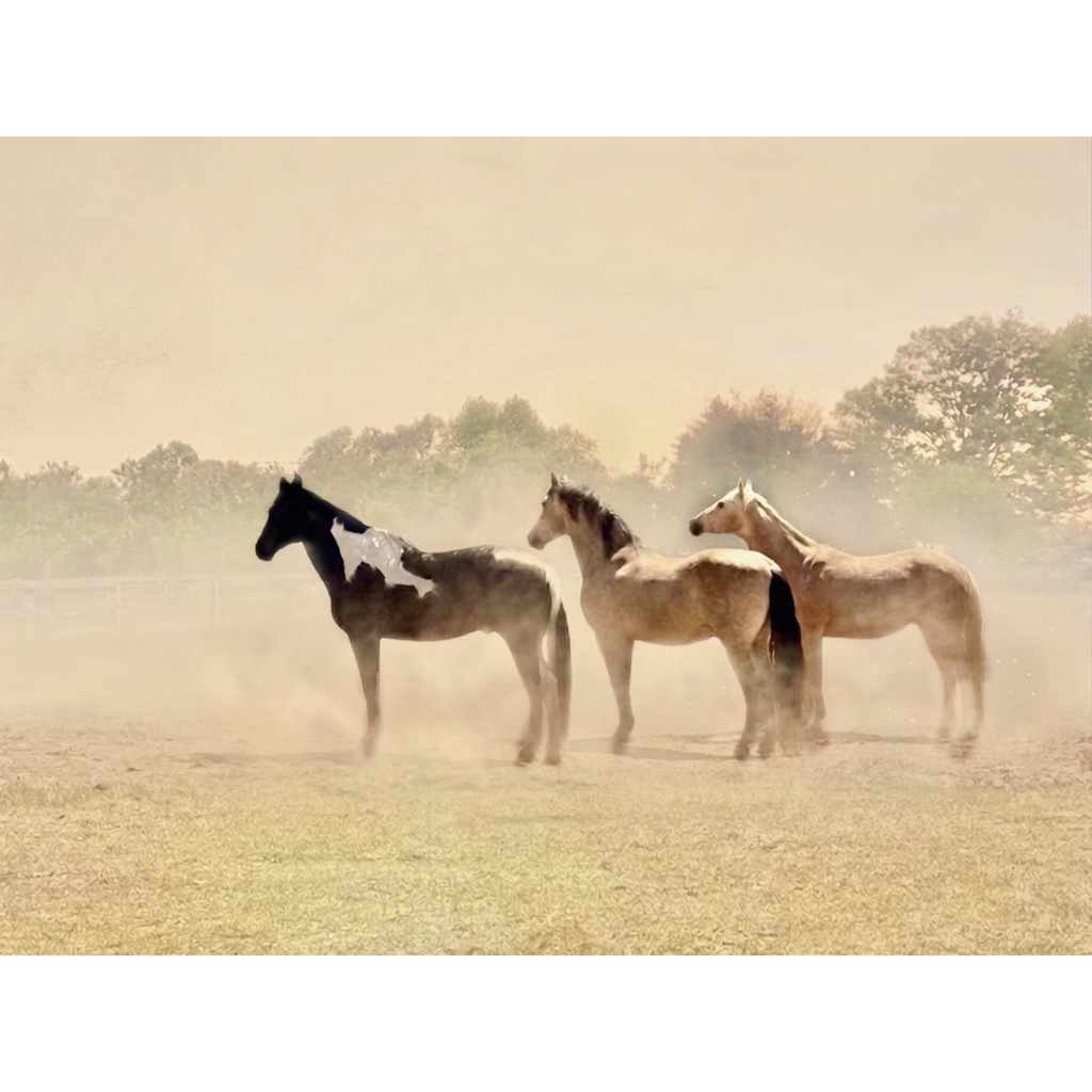 The Herd — Gilded Dust