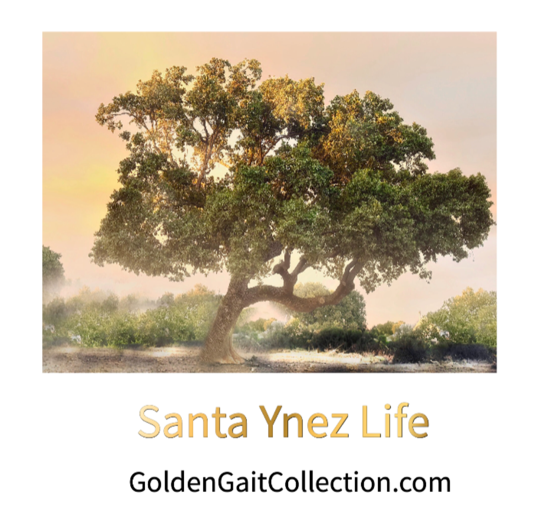Santa Ynez Valley Life:  Fine Art Lookbook