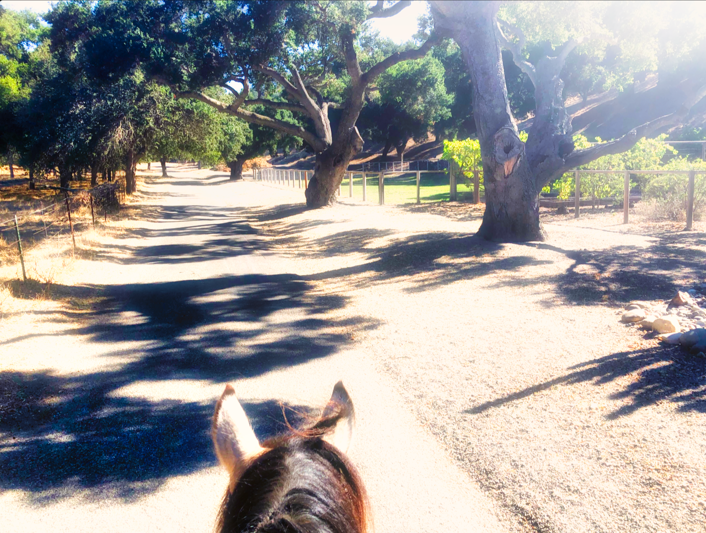 Ranch Dispatch—A Monthly Fine Art &amp; Literary Mailer